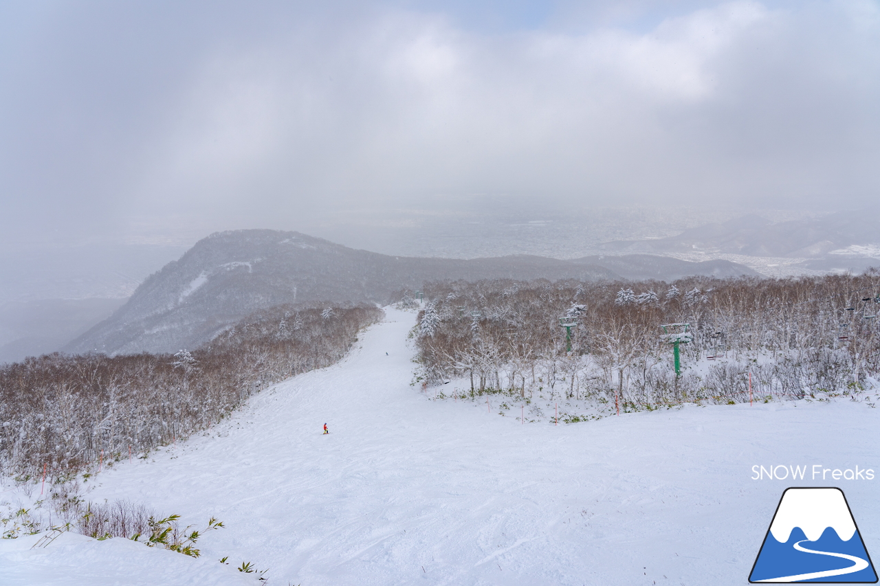 サッポロテイネ｜-10℃。雪質はパウダー。サミットエクスプレスに乗ってロング滑走を楽しみましょう！